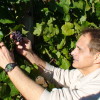 Tips on Healthy Living Nutrition Expert