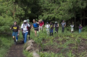 Starting from the jungle to over 19,000 ft.  Dr Maroon participates in Mt Kilimanjaro Climb