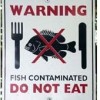 Fish Toxic