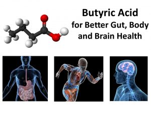 Butyric Acid For Gut Health